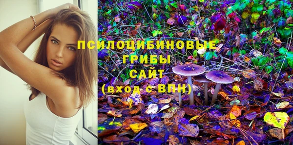 СК Гусь-Хрустальный