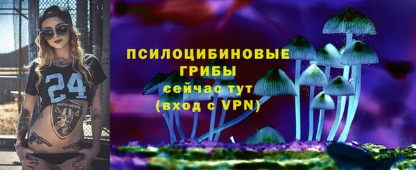 твердый Алзамай