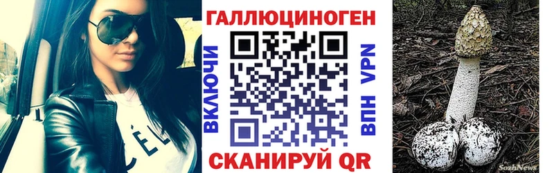 Галлюциногенные грибы Cubensis  цена   Наволоки 